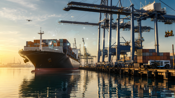 Digital Transformation in Maritime Logistics