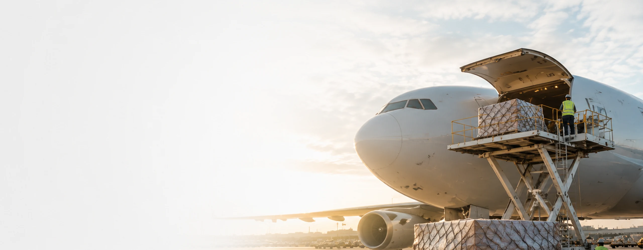 Cargo aircraft being prepared for international air freight